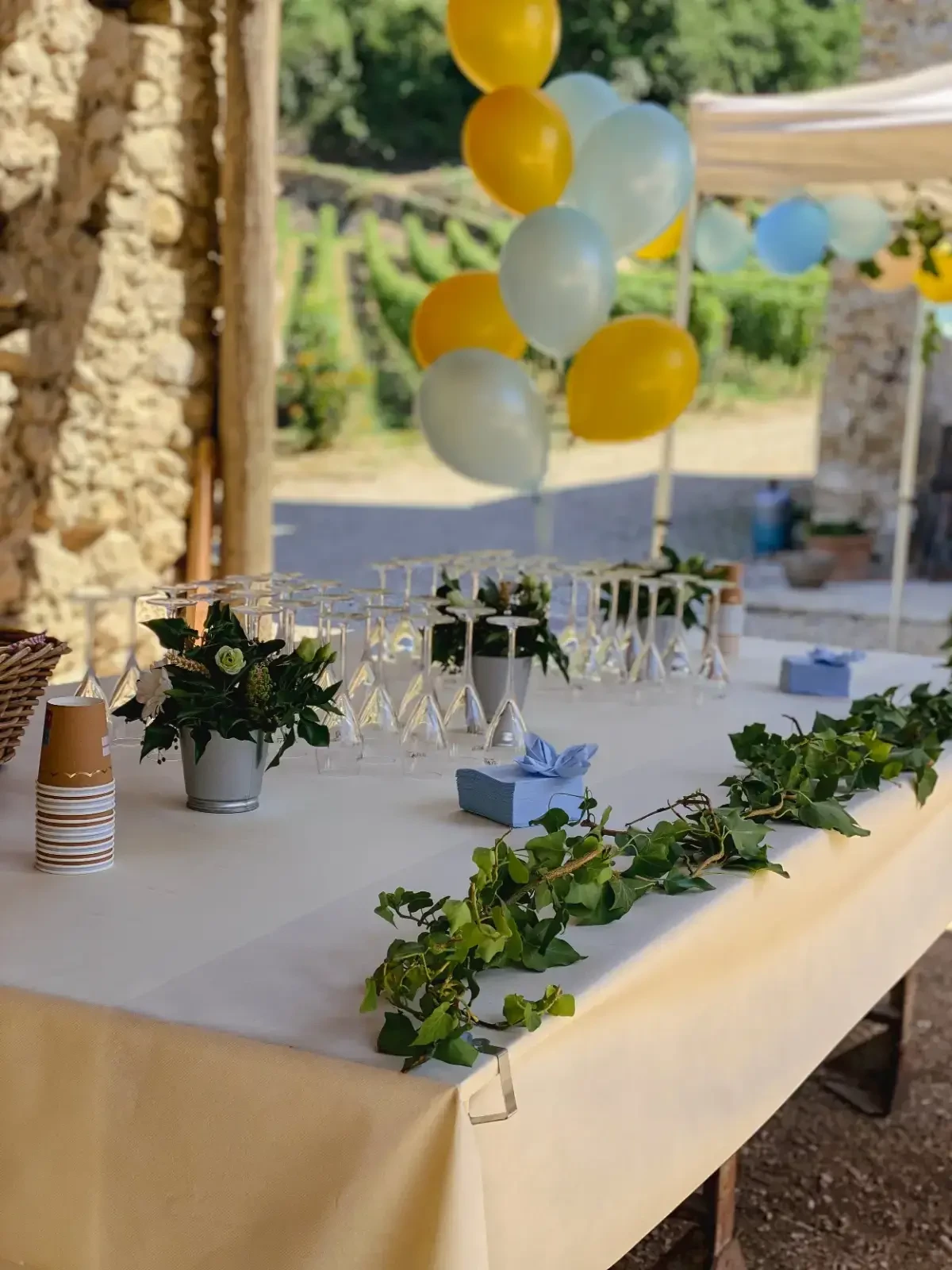 Domaine du Château Vareppe : Location salle Autour de Lyon