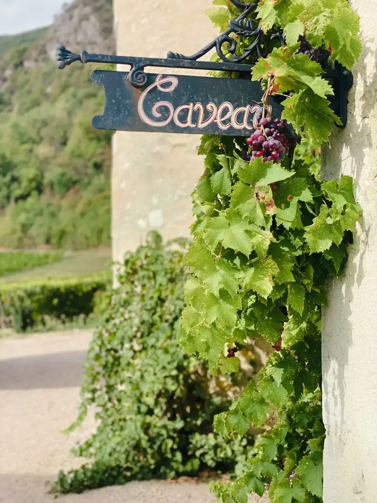 Atelier œnologie & gourmands Haute-Savoie