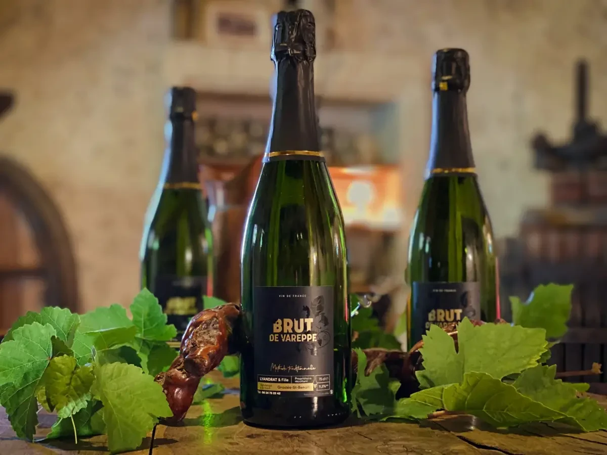 Découvrez nos vins du bugey Haute-Savoie
