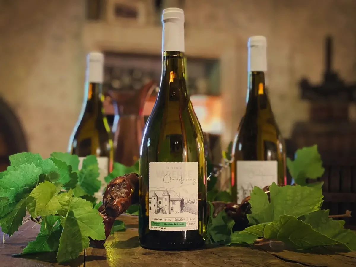 Découvrez nos vins du bugey Haute-Savoie