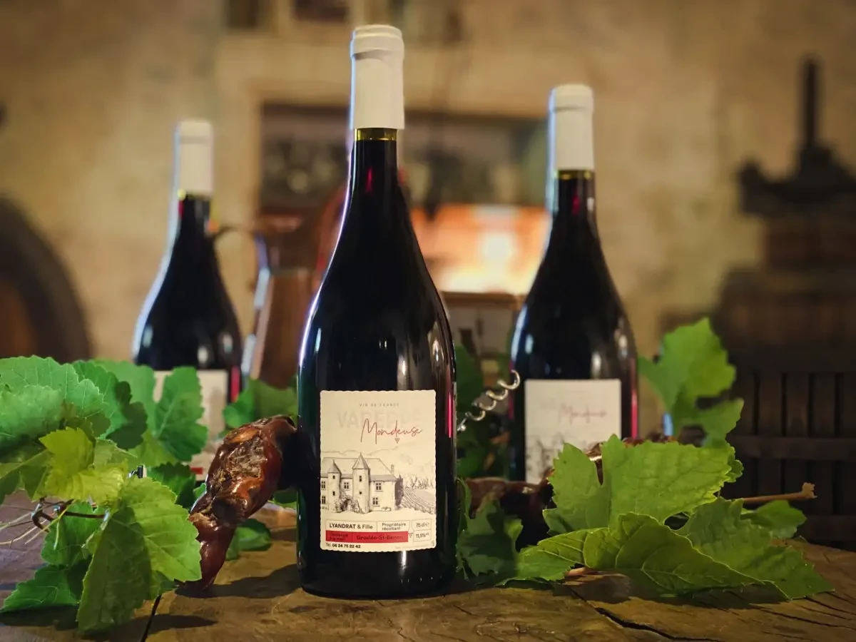 Découvrez nos vins du bugey Haute-Savoie